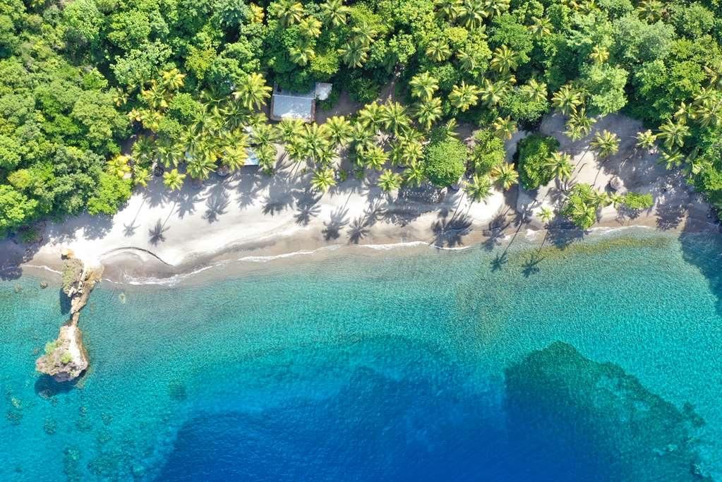 Anse Chastanet Resort Soufrière Natur foto